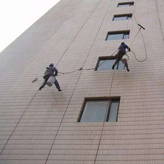 1555987201413161.jpg 2.jpg