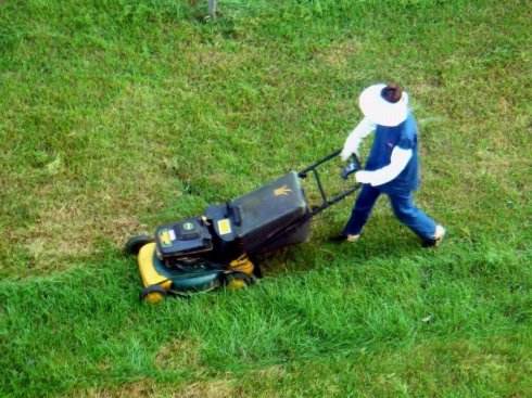 1555990165553759.jpg u=3987784168,1162498735&fm=26&gp=0.jpg